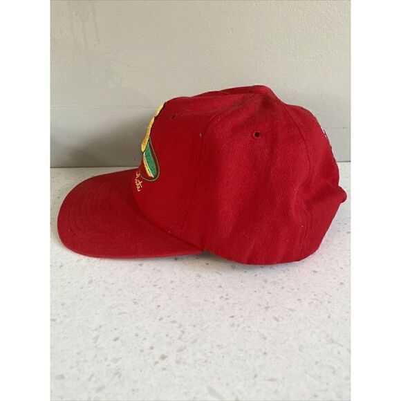 Vintage Terry Labonte Nascar Snapback Hat Kelloggs Corn Flakes Nutmeg Advert - Picture 2 of 8